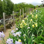 Convento Dos Capuchos Monção