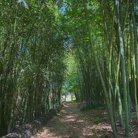 Convento Dos Capuchos 4*