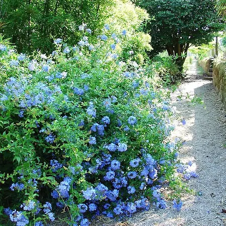 Convento Dos Capuchos Hotel 4*