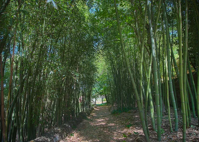 Convento Dos Capuchos 4*