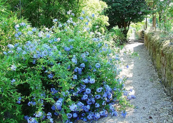 Convento Dos Capuchos Hotel 4*