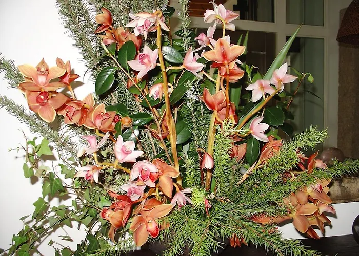 Convento Dos Capuchos Hotel Moncao