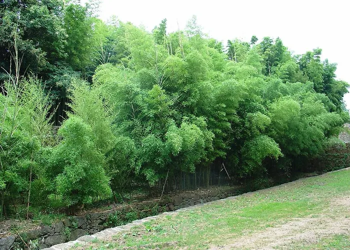 Hotel Convento Dos Capuchos 4*