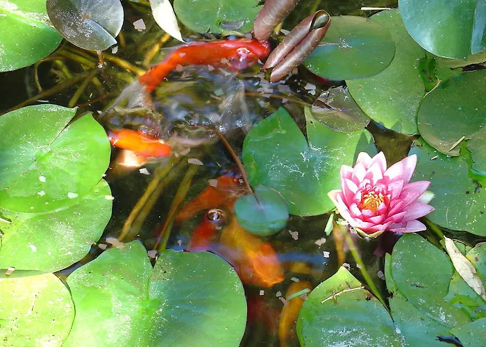 Hotel Convento Dos Capuchos